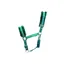 Hy Equestrian Dazzle Head Collar - Alpine Green